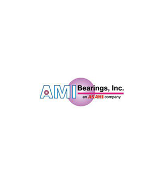 AMI Bearings