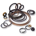 Oil Seals